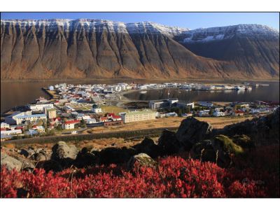 Dynjandi Waterfall and Westfjords Tour