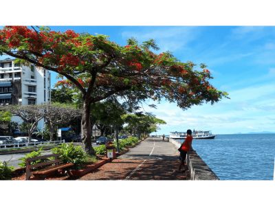 Suva Jungle and Waterfall Trek