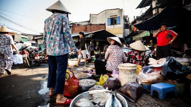 Vietnam States & Cities