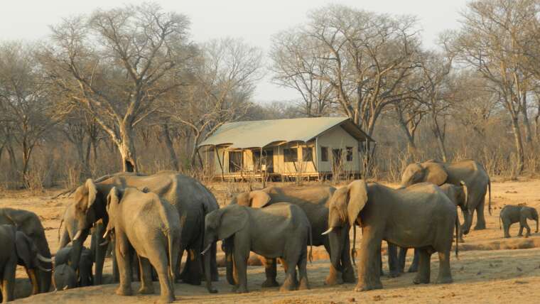 mazunga safaris